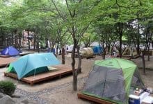 Adana Kamp Alanlari Magarsus Camping 5